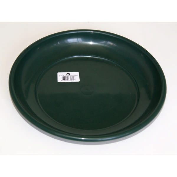 DISH GREEN 31CM 310CN
