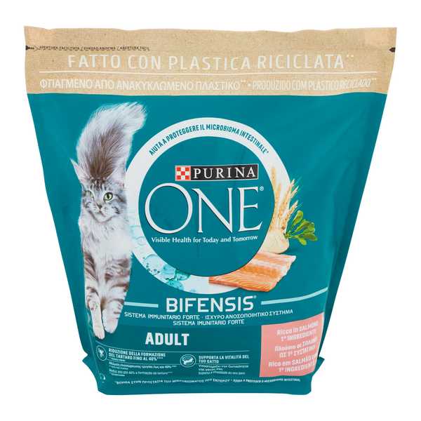 PURINA G.ONE ADULT SALMAO 800G