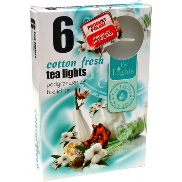 CANDLE T/L. PERF.ALGOD.CJ6 071.29