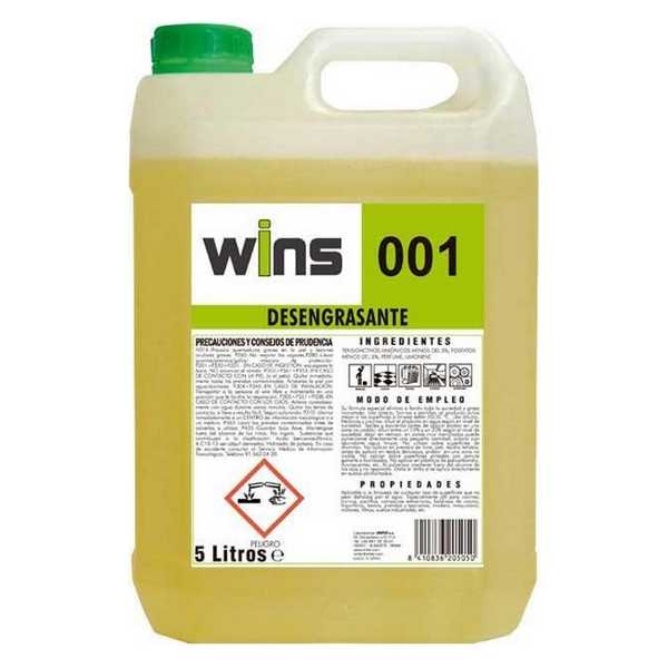 DEGREASING WINS 001 5L