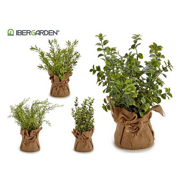 BAG C/PLANTA BUNCH SORT.57137