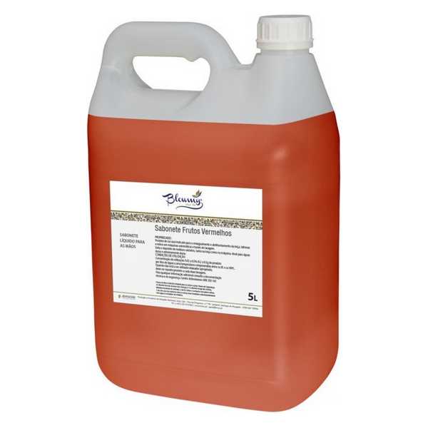 SOAP BLOWMY LIQ.FRUTOS VERM.5L