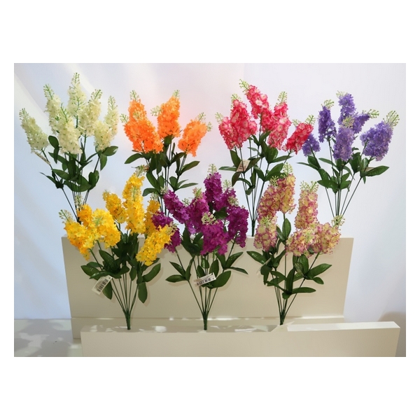 BRANCH JACINTOS 25243