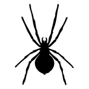 ARANHA HALLOWEEN 03-YG206A