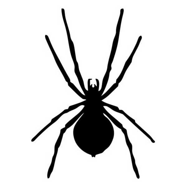 ARANHA HALLOWEEN 03-YG206A