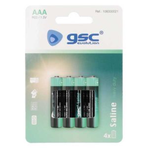 BATTERY GSC EVOLUT.R03 BL4
