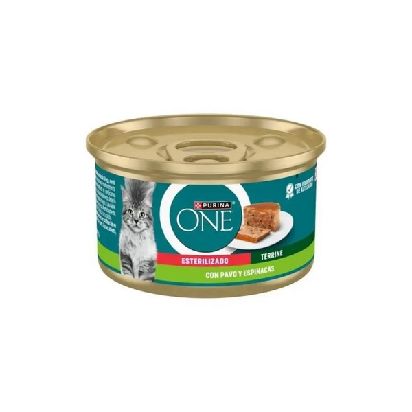 PURINA G.ONE EST. PERU&ESPI.85G
