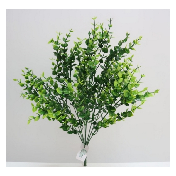 BRANCH EUCALIPTO 25114