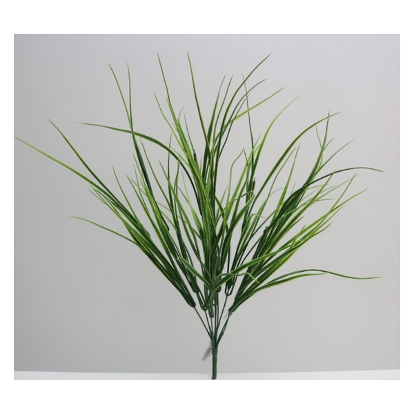 BRANCH GRASS 25664 BRANCH GRASS 25664