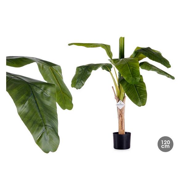 VASE C/ PLANT (BANAN)1 VASE C/ PLANT (BANAN)1