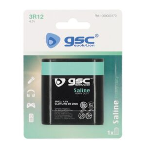 BATTERY GSC EVOLUT.3R12 4
