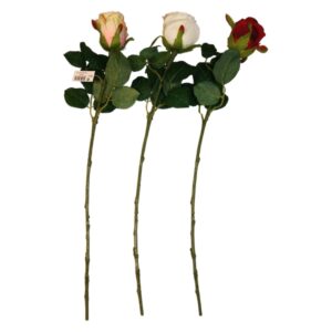 STEM ROSA 20061