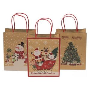 BAG PREND. NAT.23X18X10 26908