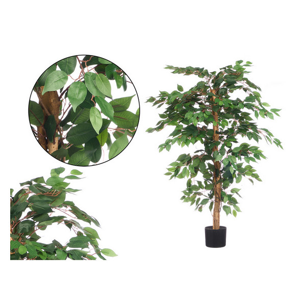 VASE C/PLANTA(FICUS MED)13364